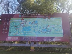 -上海海湾国家森林公园