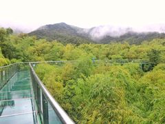 -陶祖圣境风景区