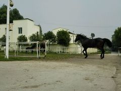 -重庆和泰马术俱乐部