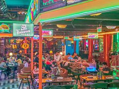 -Famous肥猫墨西哥音乐餐吧(五棵松华熙LIVE店)