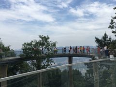 -缙云山景区