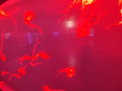 -多彩贵州城极地海洋世界