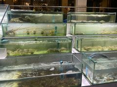 -光海鲜鱼翅餐厅(叻差拉披色路店)