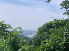 -九曜山