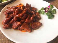 -几荷·恰似故人来(秀水广场店)