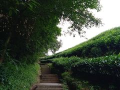 -西湖风景区十里琅珰-五云山