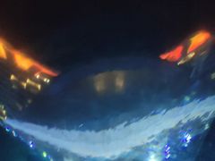-海棠湾洲际-涛·海底餐厅·美人鱼·自助餐·海底隧道