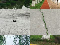 -上海交通大学(闵行校区)