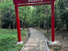 -大屏嶂森林公园