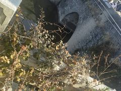 -水绘园