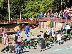 -西双版纳原始森林公园
