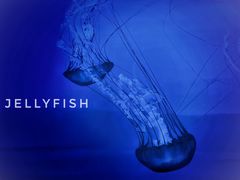 -多彩贵州城极地海洋世界