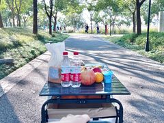 -上海山野camping·户外天幕烧烤·团建拓展营地