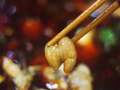 -烧哥美蛙肥肠鱼火锅·十五年社区店