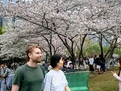 -西北湖绿化广场