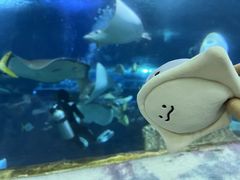 -长沙海底世界