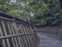-福道