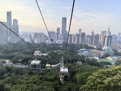 -富斯特索道