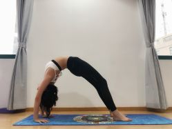 -亚太瑜伽普拉提学院