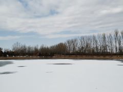 -东郊湿地公园