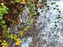 -宁波五龙潭景区