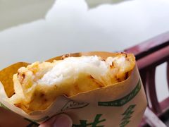 -召稼楼古镇