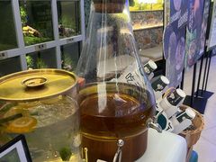 -芸山季·云南山珍菌火锅(南翔印象城MEGA店)