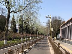 -喜茶(北京五棵松华熙店)