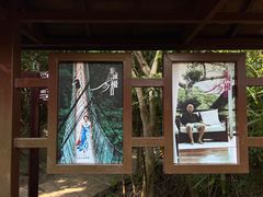 -亚龙湾热带天堂森林公园
