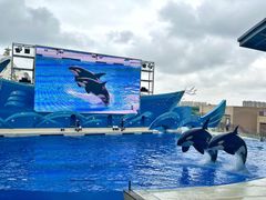 -上海海昌海洋公园