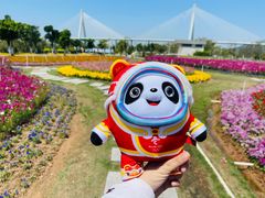-芒洲湿地公园