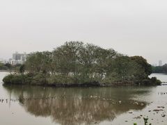 -海珠湖公园