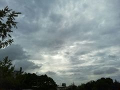 -新江湾城公园
