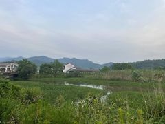 -东钱湖旅游度假区