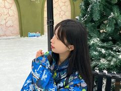 -世界之窗阿尔卑斯冰雪世界