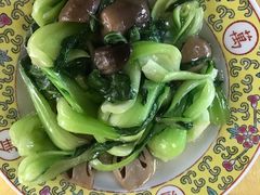 草菇菜心-听鹂馆饭庄(颐和园店)