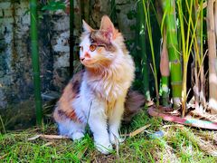 -陈熹公民族美食文化餐厅(中华广场店)