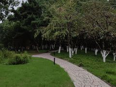 -范蠡湖公园