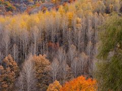 -玉渡山自然风景区