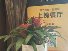 -大鸭梨(天通西苑店)