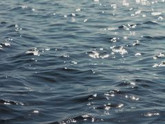 -碧海金沙