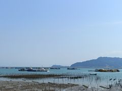 -罗源湾8号渔排