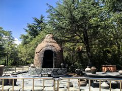 -日照海滨国家森林公园