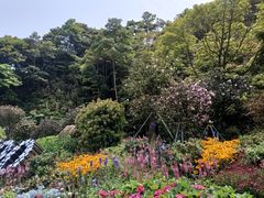 -梧桐山风景名胜区