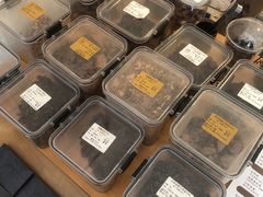 -SANYAY叁言咖啡巧克力
