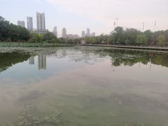 -月湖风景区