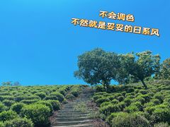 -西山风景区