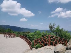 -北京西山国家森林公园