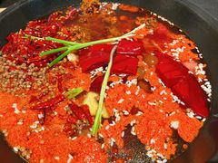 -四小区火锅·巷子里的重庆火锅(花照壁店)