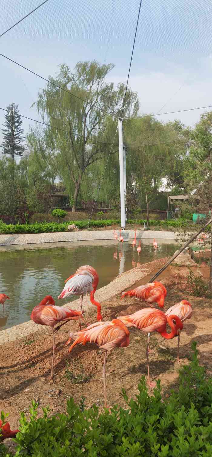 太原動物園-